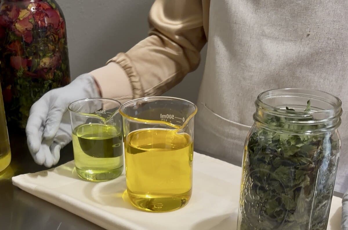 Beakers of freshly strained golden and green plant-oil infusion beside herb-filled mason jars on a steel table in the InVine studio